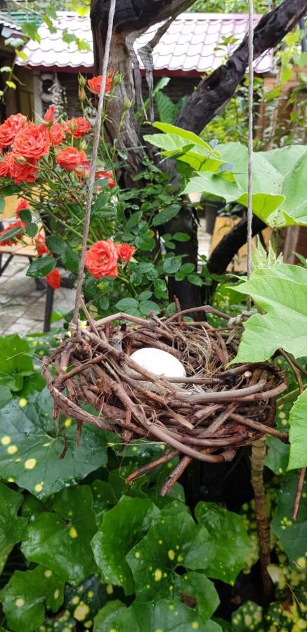 Hotel Green House In Batumi Exterior foto